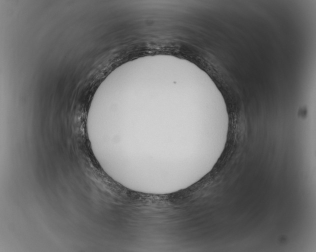 X0000116110770200912211632