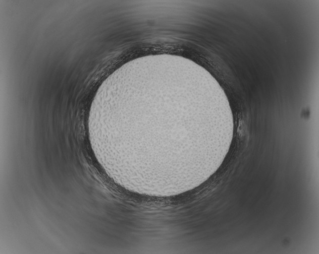 X0000116110771200912211632