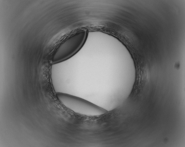 X0000116110773200912211632