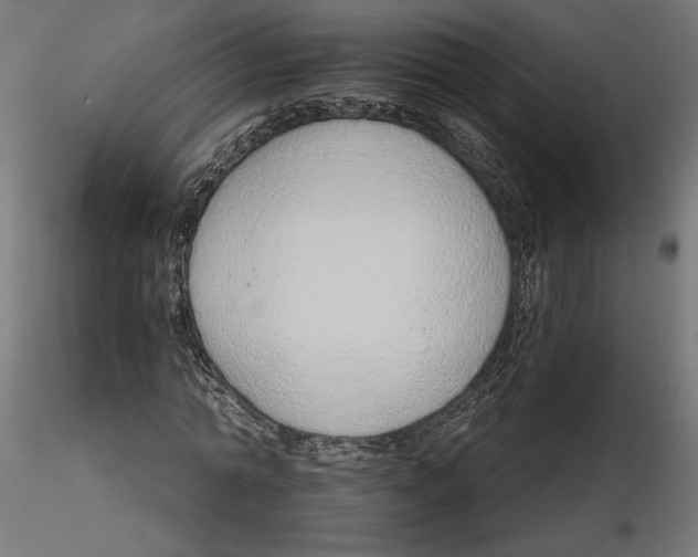 X0000116110774200912211632