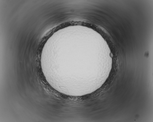 X0000116110775200912211632