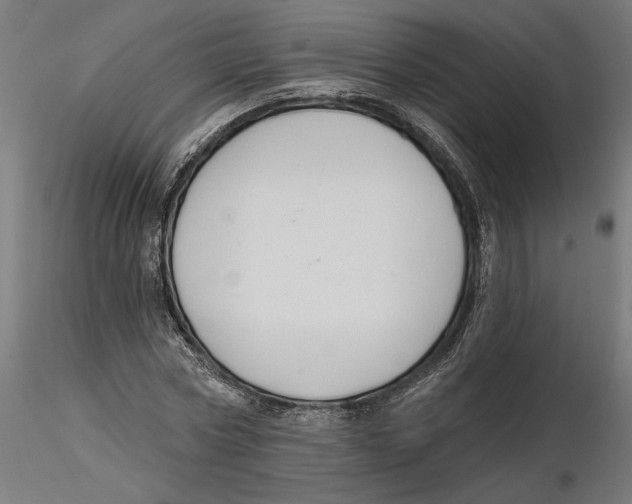 X0000116110778200912211632