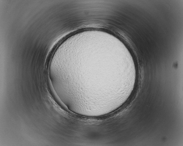 X0000116110779200912211632
