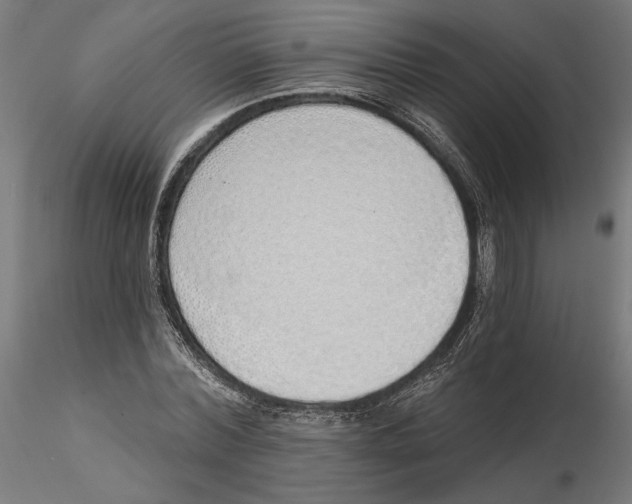 X0000116110780200912211632
