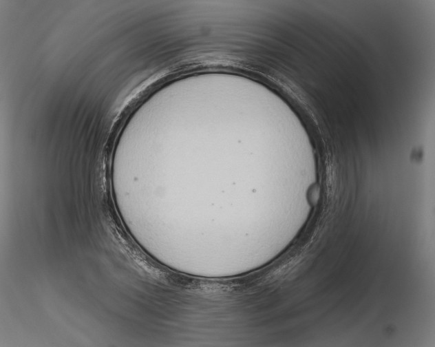 X0000116110782200912211632
