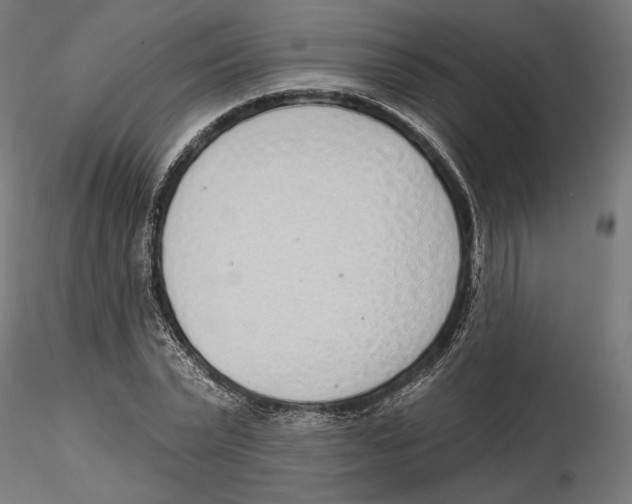 X0000116110783200912211632