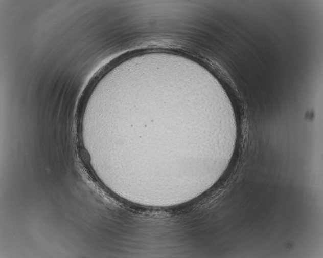 X0000116110784200912211632
