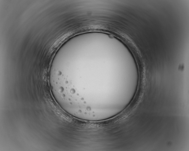 X0000116110785200912211632