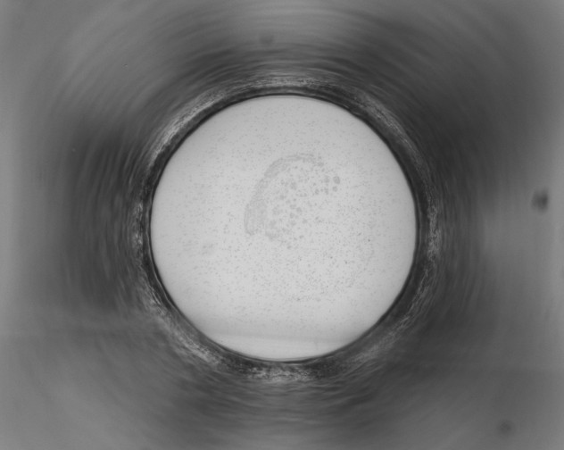 X0000116110786200912211632