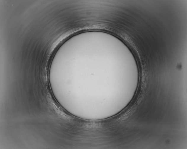 X0000116110789200912211632