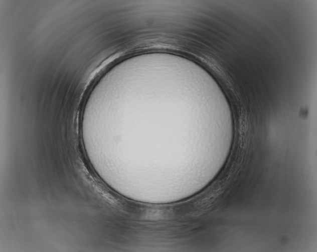 X0000116110790200912211631