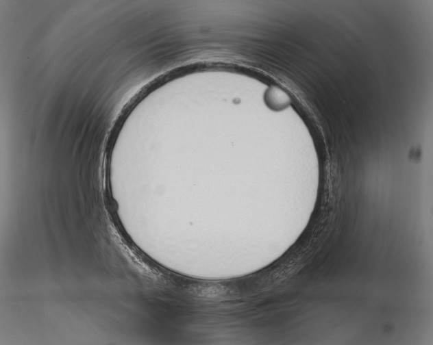 X0000116110791200912211631