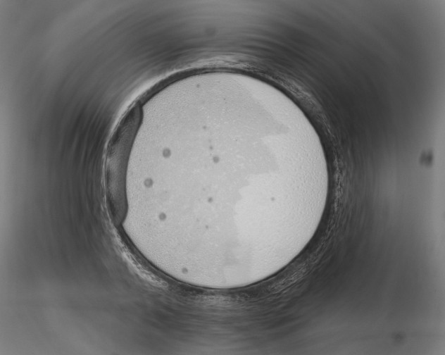X0000116110792200912211631
