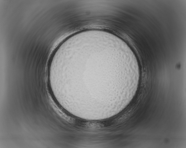 X0000116110795200912211631