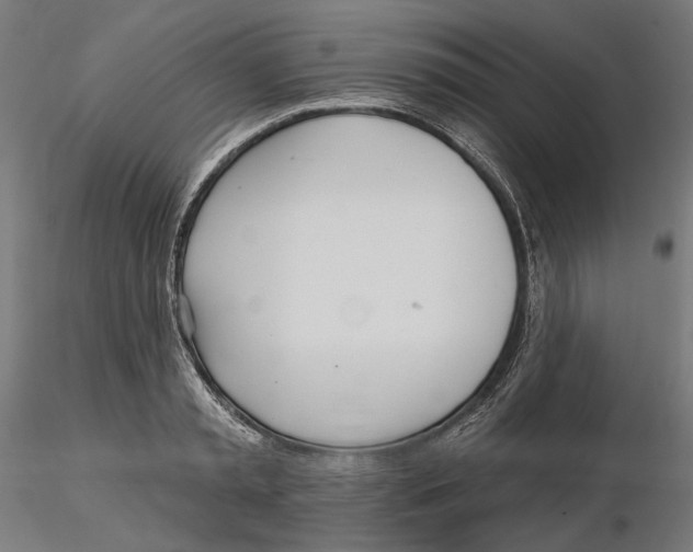 X0000116110797200912211631