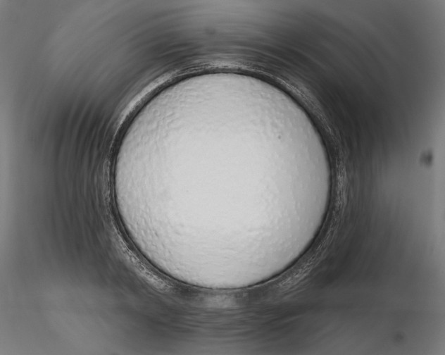 X0000116110798200912211631