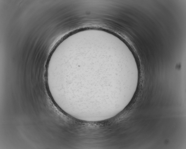 X0000116110799200912211631