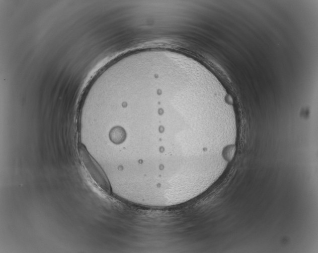 X0000116110800200912211631