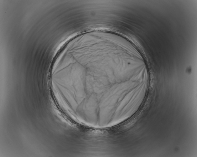 X0000116110806200912211631