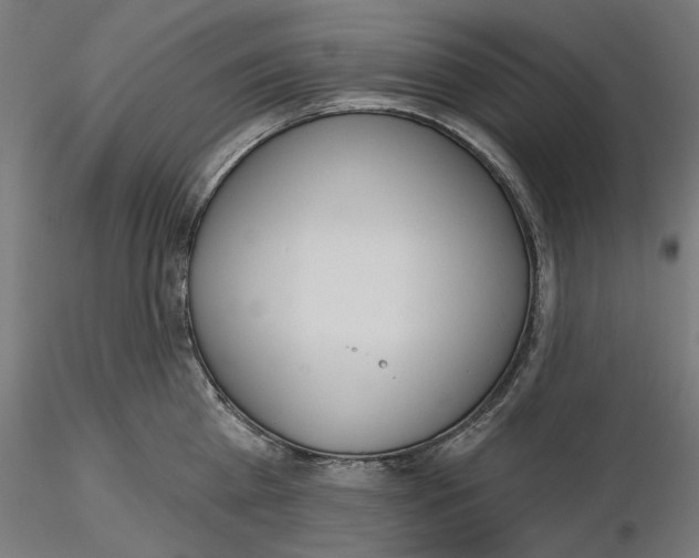 X0000116110809200912211631