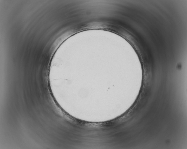 X0000116110810200912211631