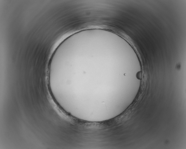 X0000116110811200912211631