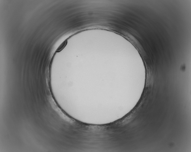 X0000116110812200912211631