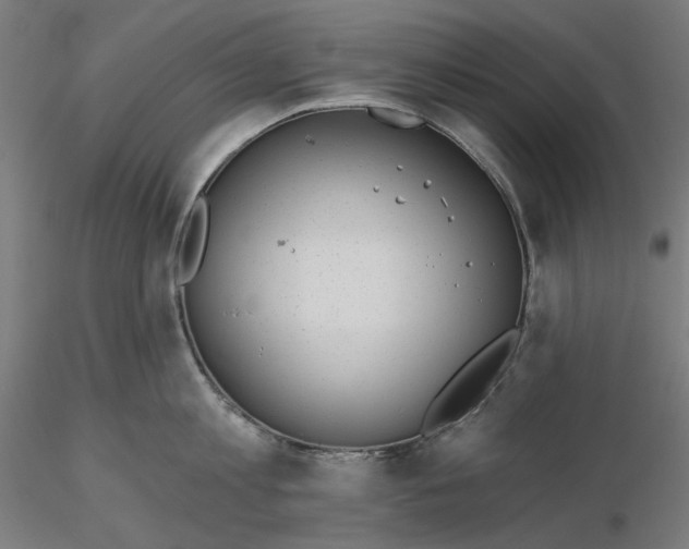 X0000116110813200912211631