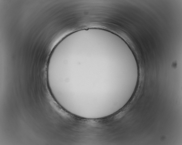 X0000116110814200912211631