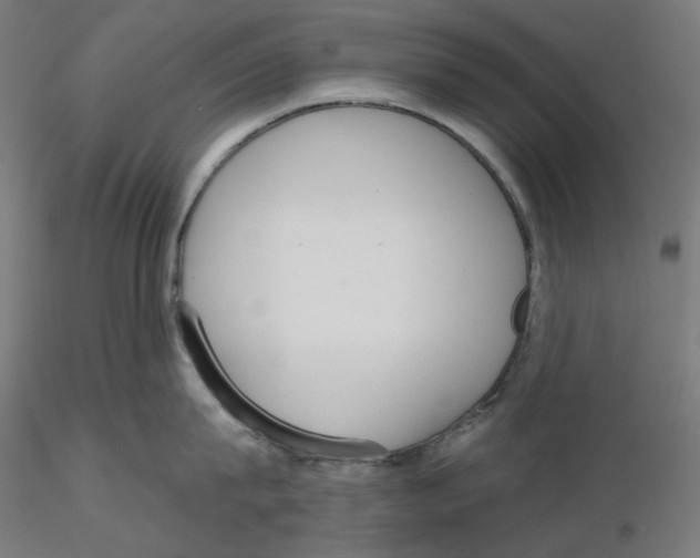 X0000116110815200912211631