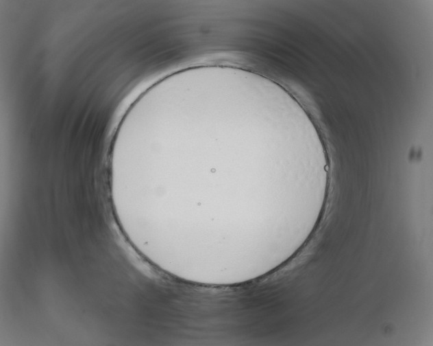 X0000116110816200912211631