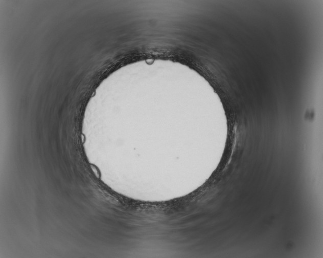 X0000116110817200912211630