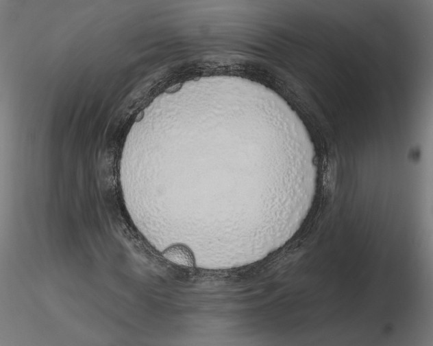 X0000116110819200912211631