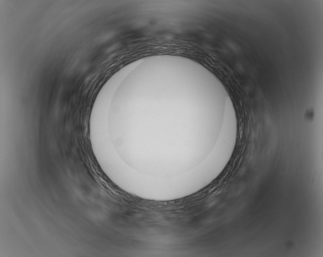 X0000116110820200912211631