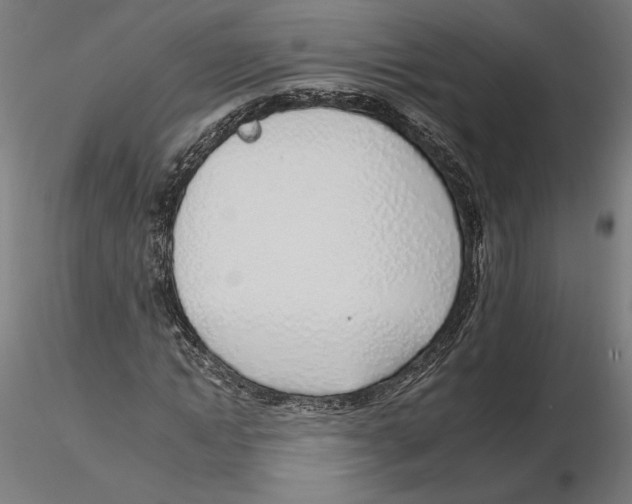 X0000116110822200912211631