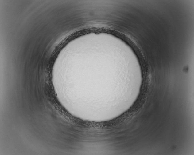 X0000116110823200912211631