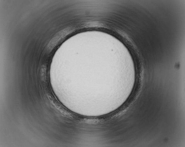 X0000116110825200912211631