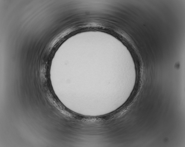 X0000116110826200912211631