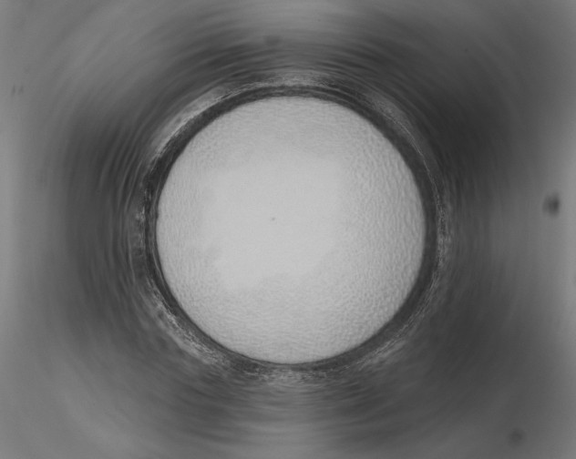 X0000116110827200912211631