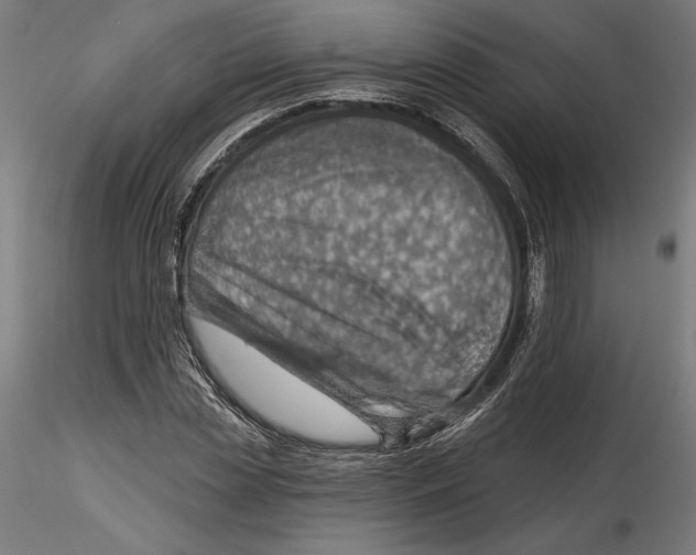 X0000116110829200912211631