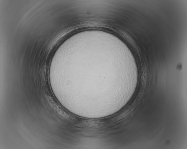 X0000116110831200912211631