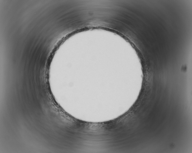 X0000116110832200912211631
