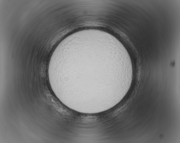 X0000116110833200912211631