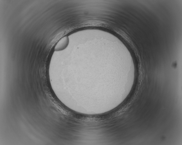 X0000116110834200912211631