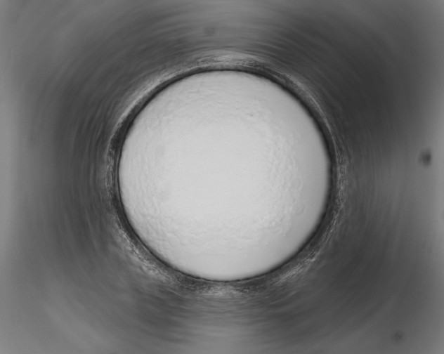 X0000116110835200912211631