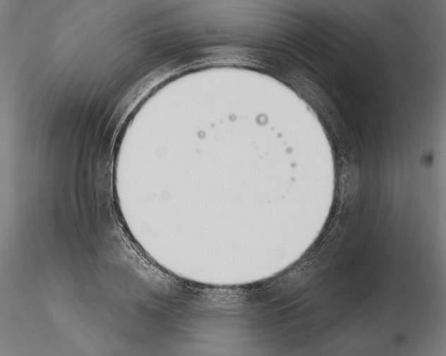 X0000116110836200912211631