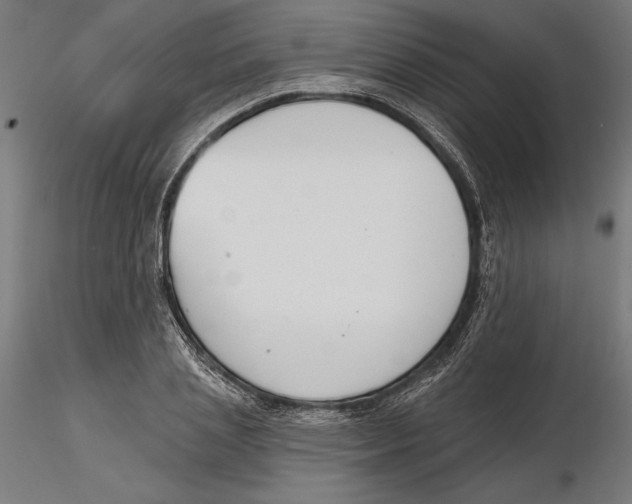 X0000116110837200912211631