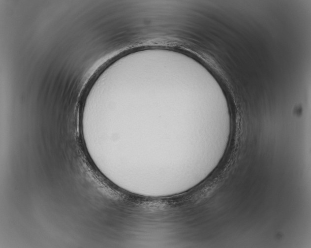 X0000116110838200912211631