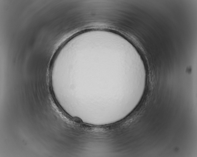 X0000116110839200912211631