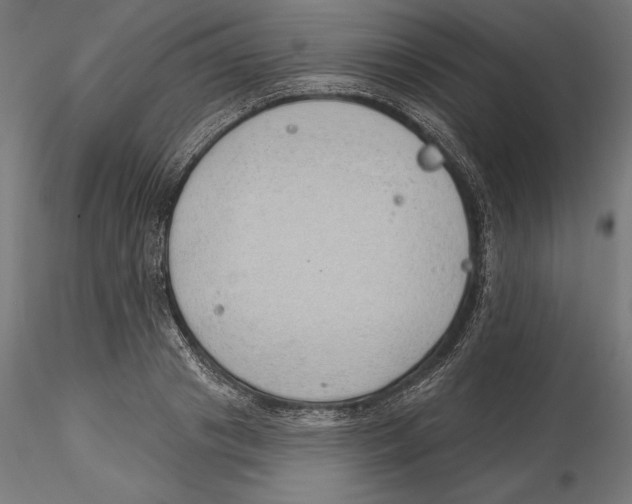 X0000116110841200912211631